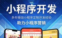 做网站、APP开发，微信小程序公众号开发，软件开发
